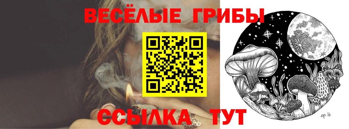 Галлюциногенные грибы прущие грибы  Галлюциногенные грибы прущие грибы  Вход с VPN  Уссурийск 